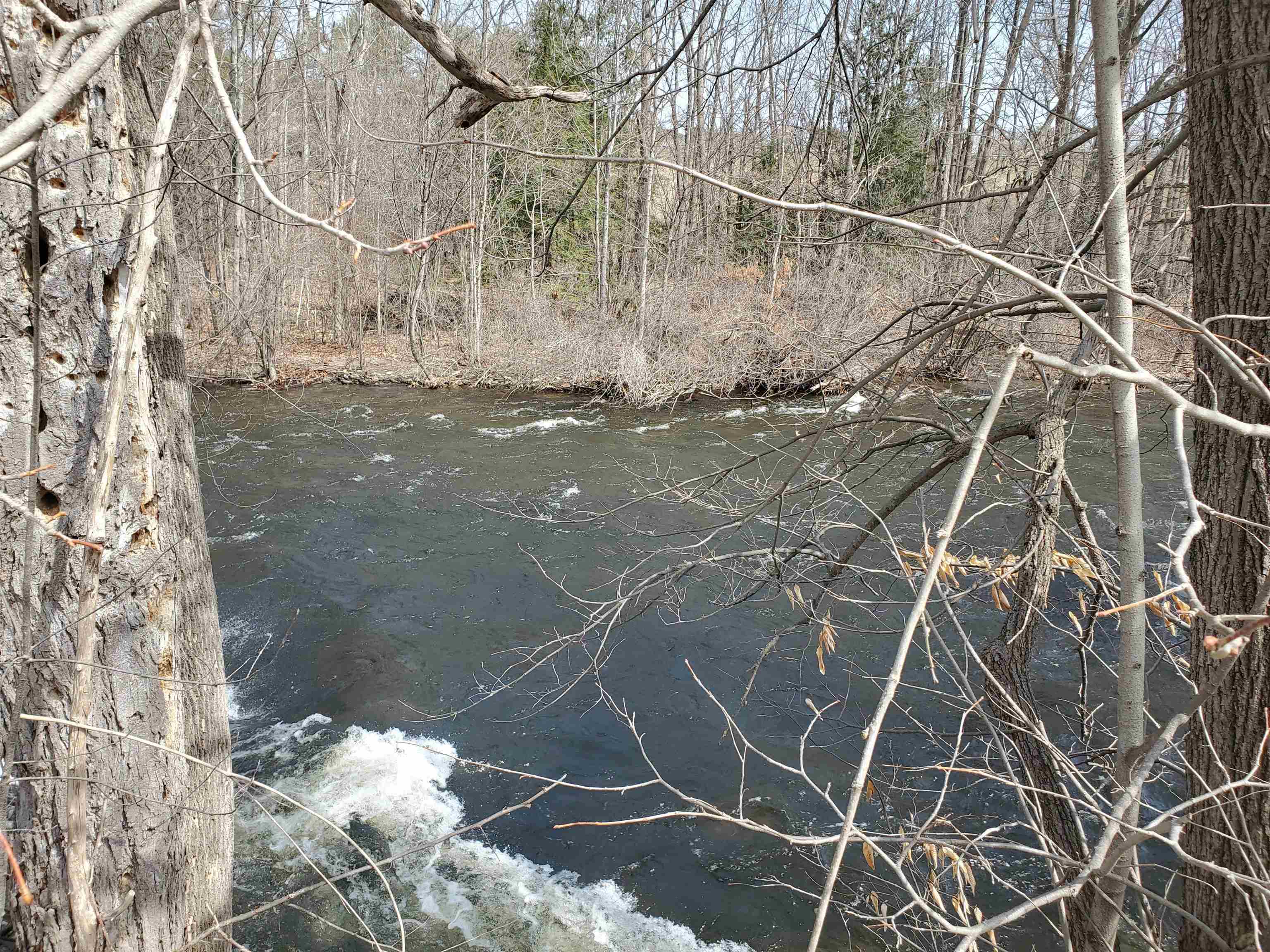 45 Riverside Drive Lebanon, NH 03766 - Photo 5 of 25