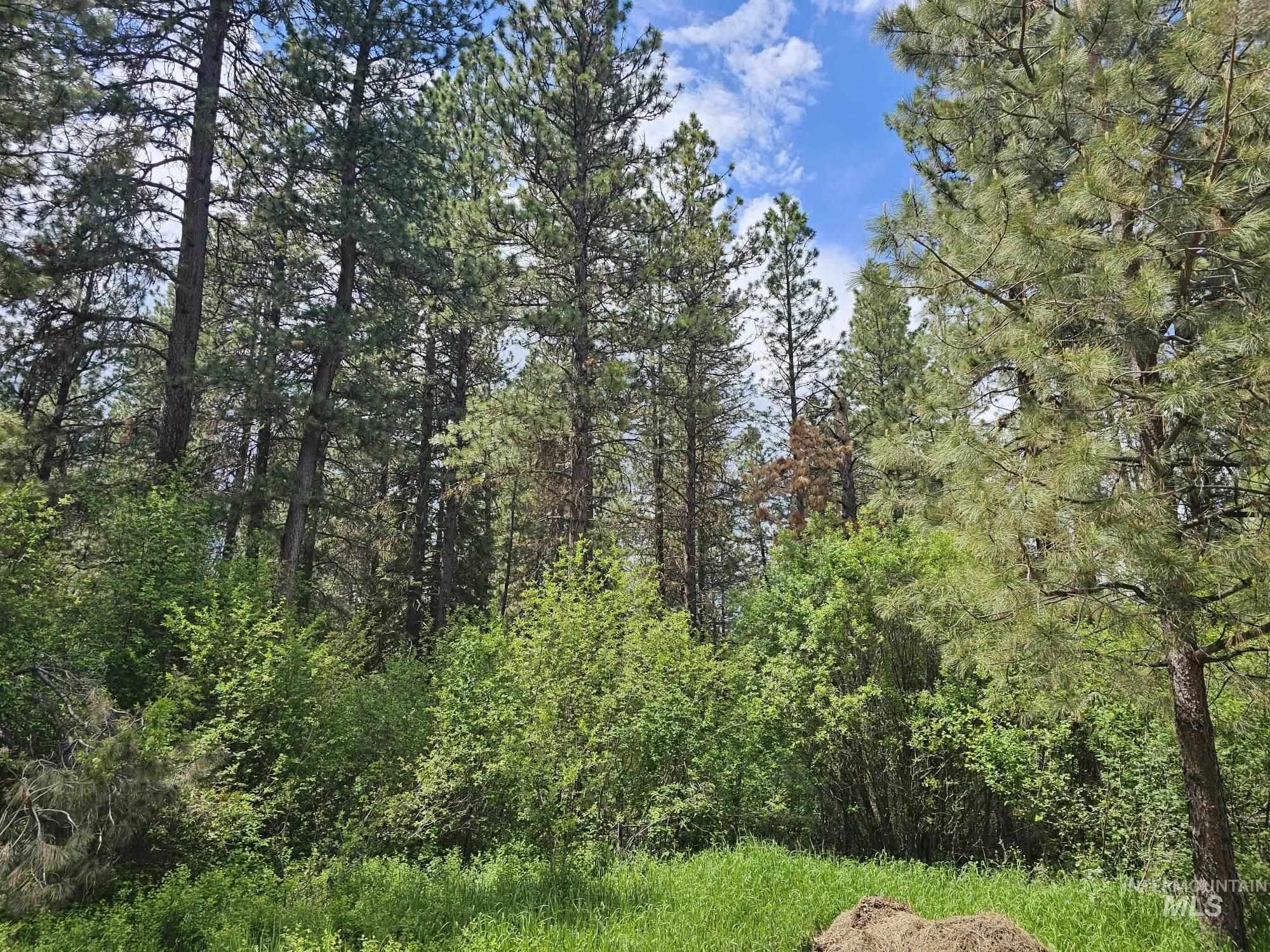 Lot 16-17 Caseys Road Garden Valley, ID 83622 - Photo 1 of 8