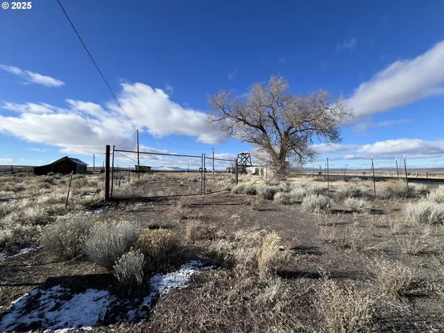 a view of a dry yard with trees