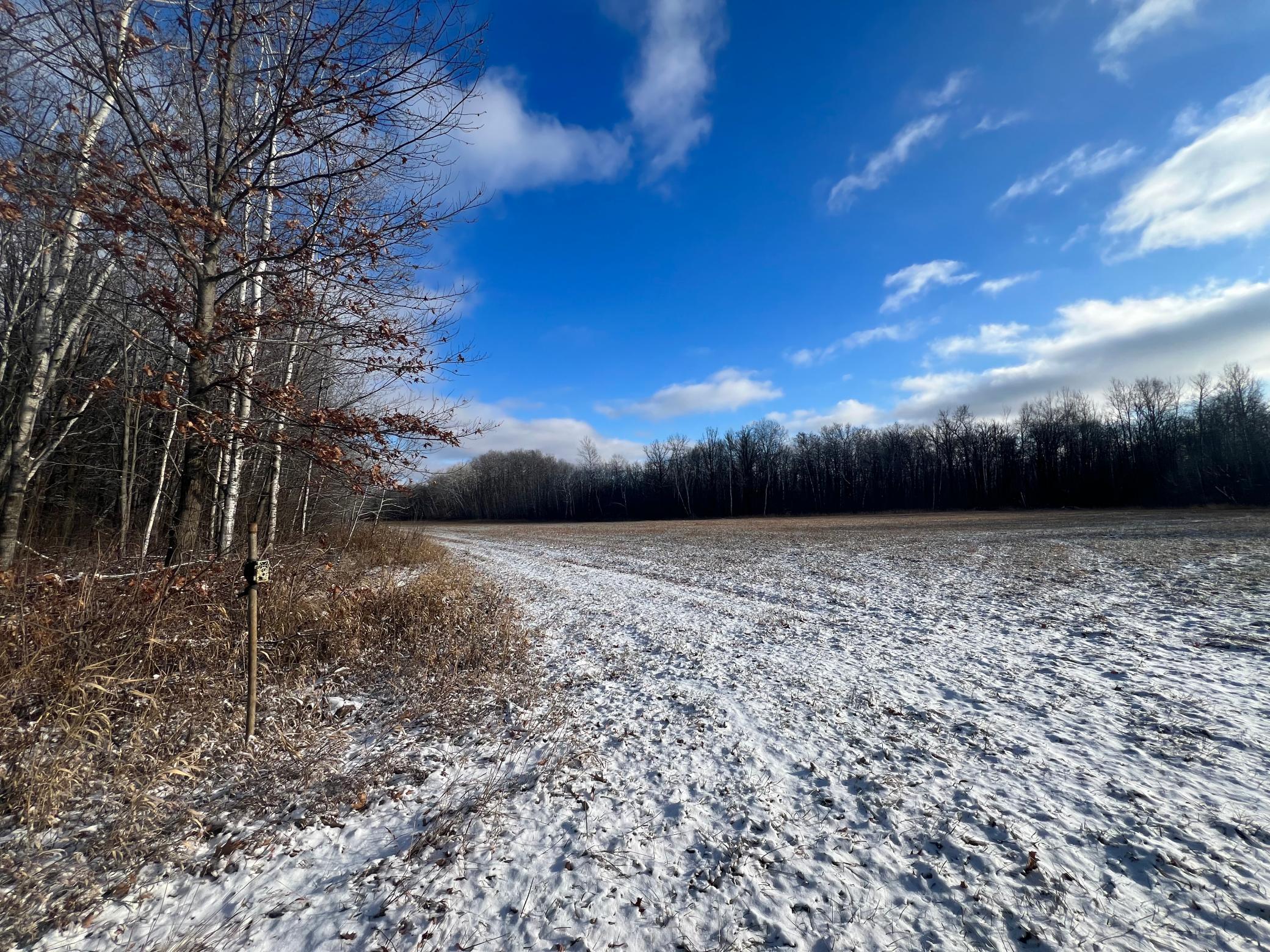 Unassigned Lynx Road Milaca, MN 56353 - Photo 1 of 1 Gallery Image 1