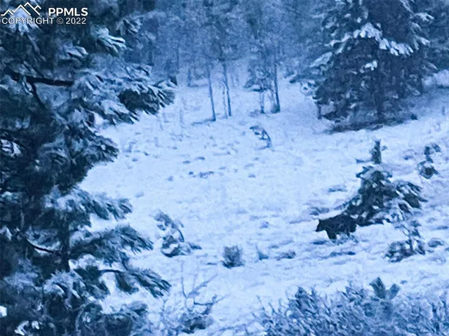 $369,000 | 402 Pine Dr Lake, Guffey, CO 80820