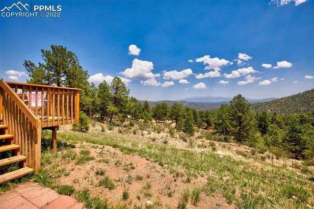 a view of a flower garden