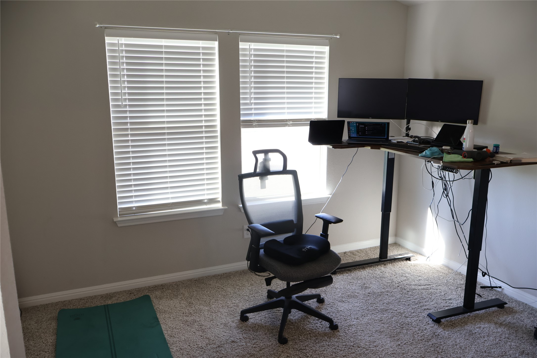 11500 Maple Leaf Way Manor, TX 78653 - Photo 16 of 29 Home office with light carpet