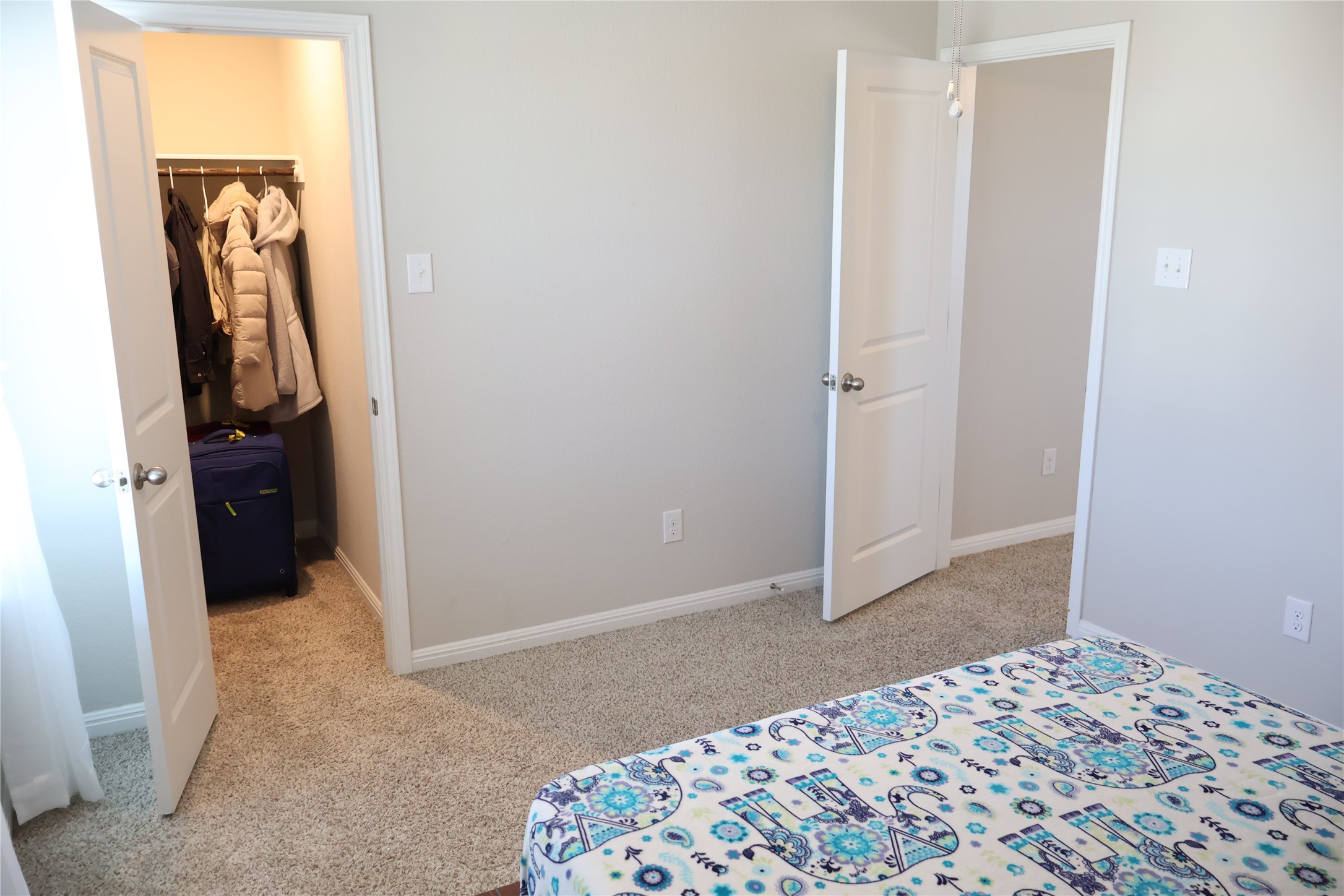 11500 Maple Leaf Way Manor, TX 78653 - Photo 29 of 29 Bedroom featuring light carpet and a spacious closet