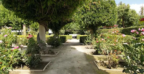 $3,450,000 | 12950 North Willow Avenue, Clovis, CA 93619