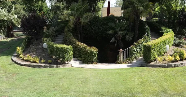 a view of a garden with a fountain