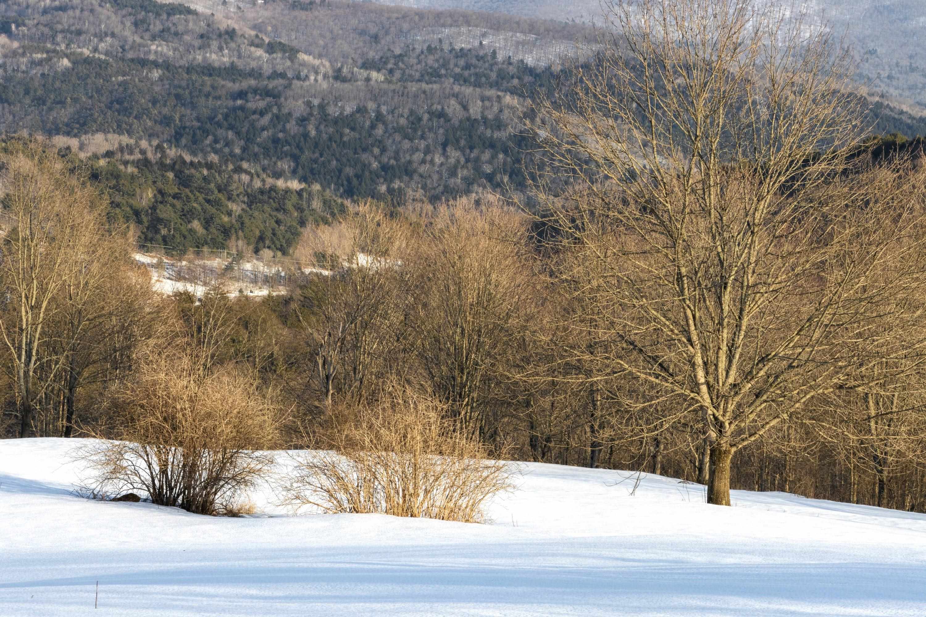 51 Hook Road Chelsea, VT 05038 - Photo 21 of 36