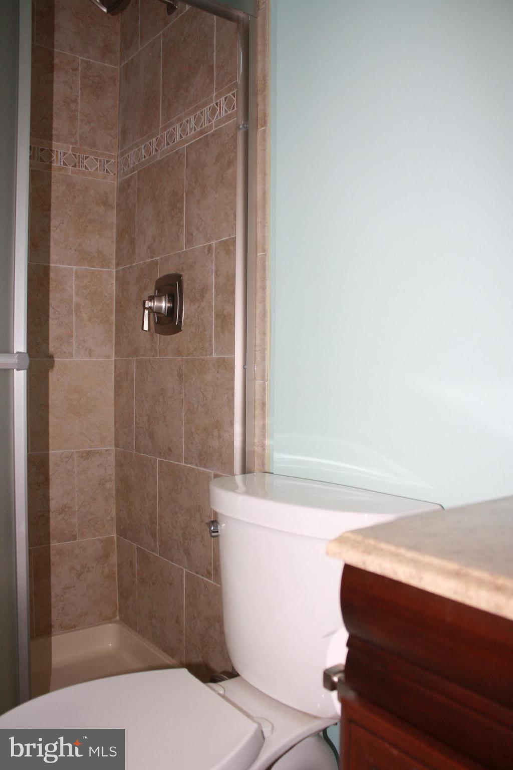 947 Fall Ridge Way Gambrills, MD 21054 - Photo 14 of 20 Lower level bathroom