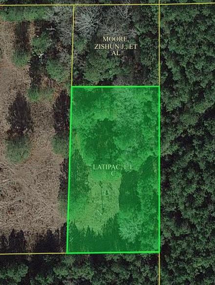 0 Social Springs Road Ringgold, LA 71068 - Photo 3 of 3 a view of yard with green space