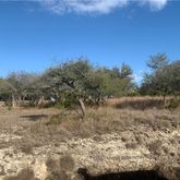 $799,000 | 4405 Hennig Drive, Austin, TX 78738