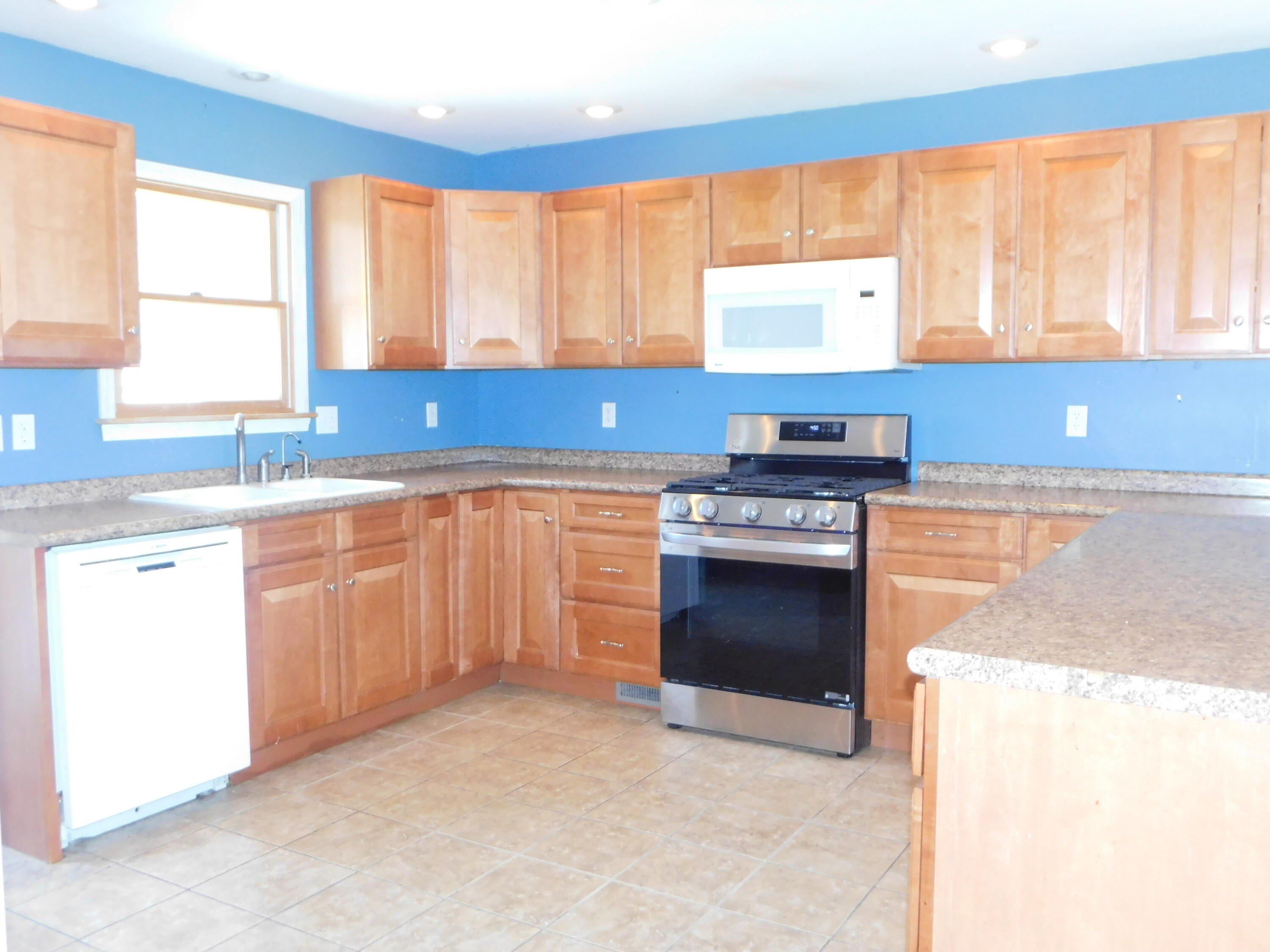 309 East Delaware Street Decatur, MI 49045 - Photo 4 of 19 DSCN2153
