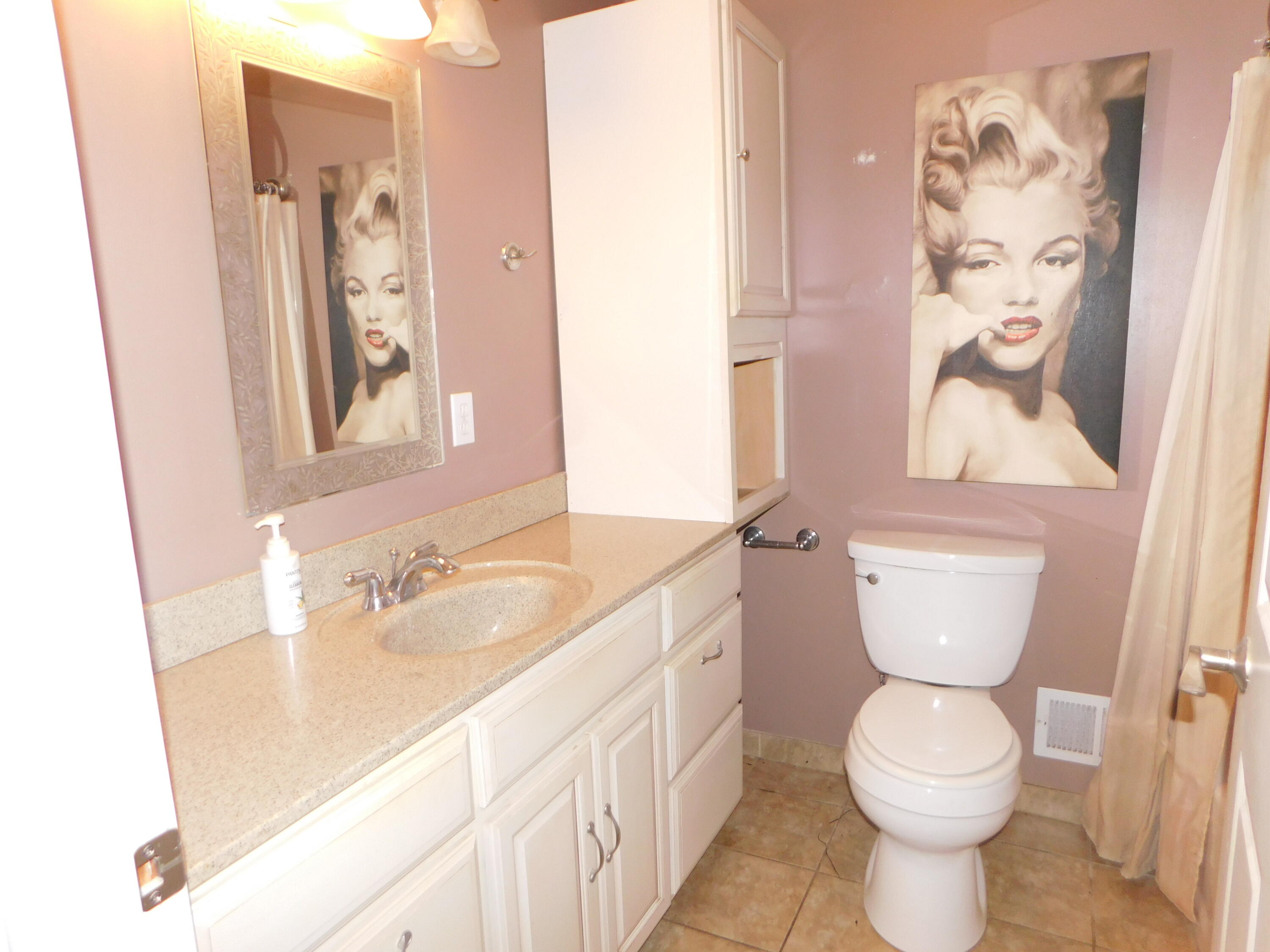 309 East Delaware Street Decatur, MI 49045 - Photo 7 of 19 DSCN2160