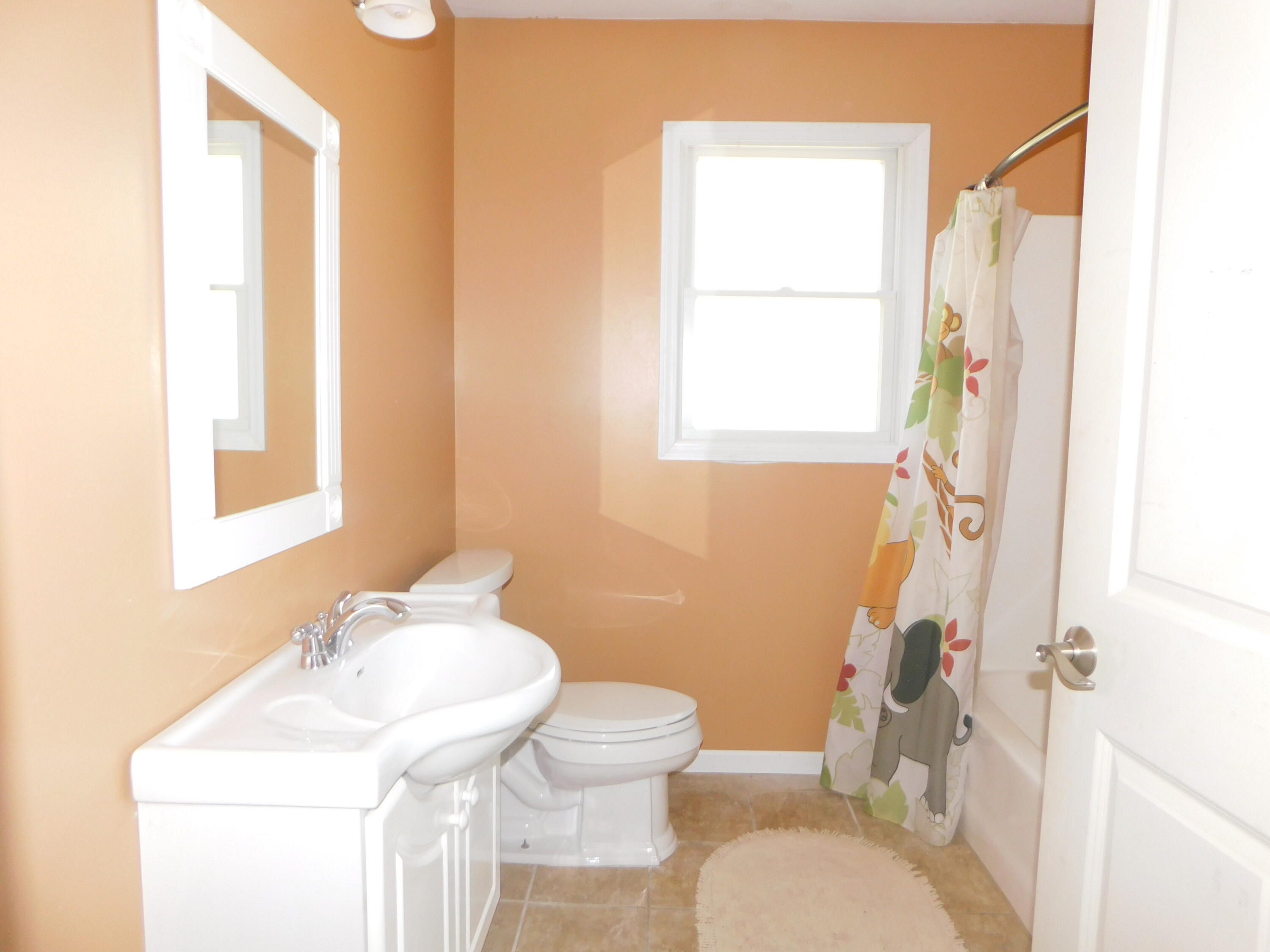 309 East Delaware Street Decatur, MI 49045 - Photo 9 of 19 guest bathroom