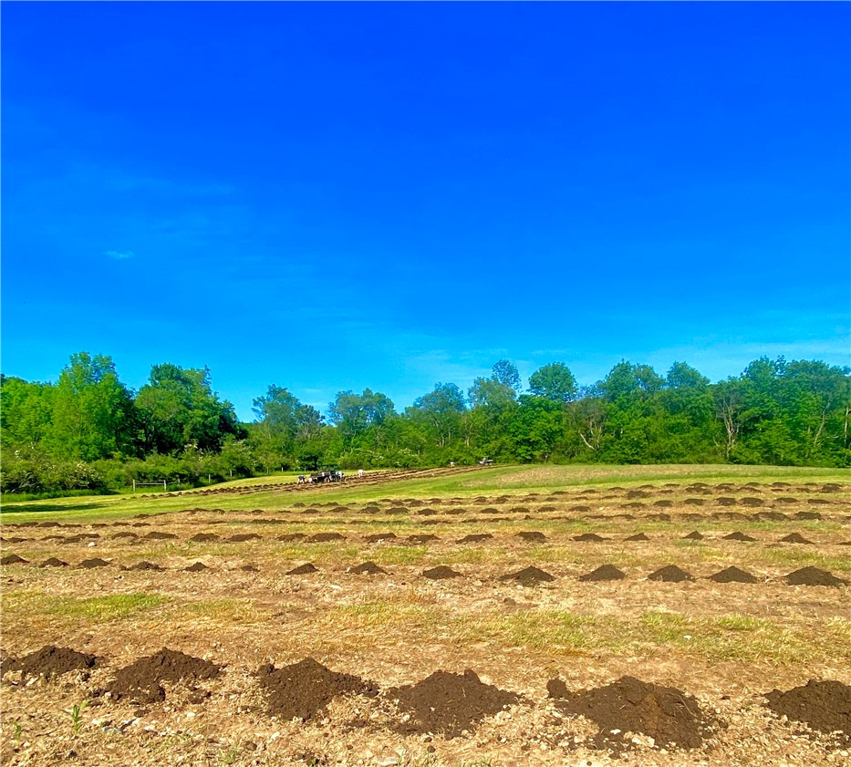 184 Lower Reservoir Road Oneonta, NY 13820 - Photo 29 of 50