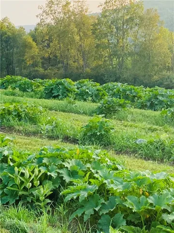 $799,000 | 184 Lower Reservoir Road, Oneonta, NY 13820