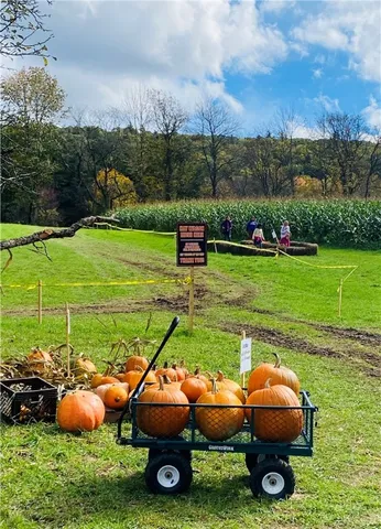 $799,000 | 184 Lower Reservoir Road, Oneonta, NY 13820