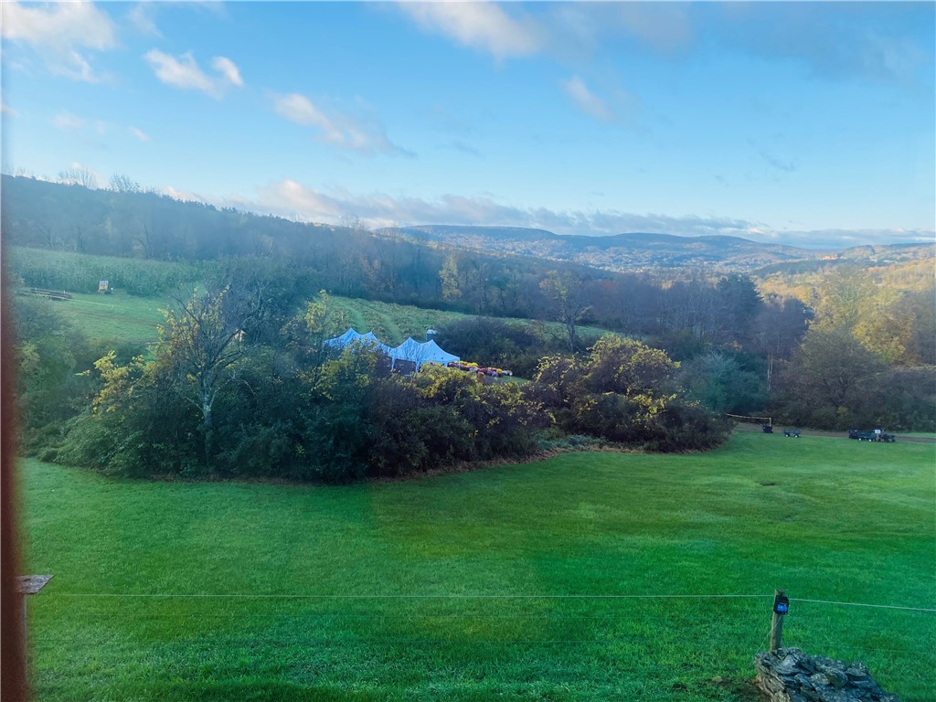 184 Lower Reservoir Road Oneonta, NY 13820 - Photo 33 of 50