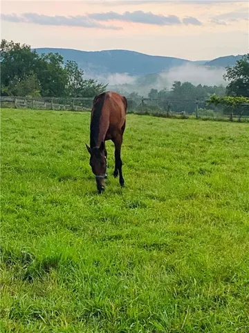 $799,000 | 184 Lower Reservoir Road, Oneonta, NY 13820