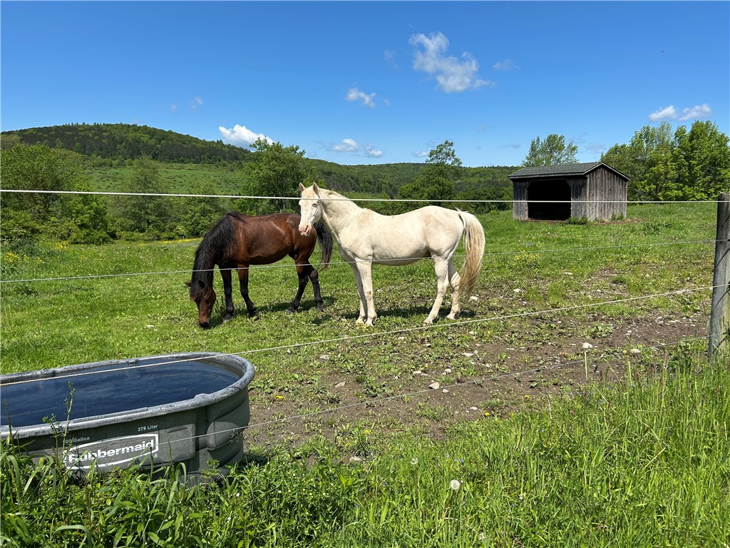 184 Lower Reservoir Road Oneonta, NY 13820 - Photo 37 of 50