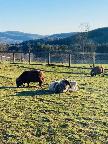 $799,000 | 184 Lower Reservoir Road, Oneonta, NY 13820