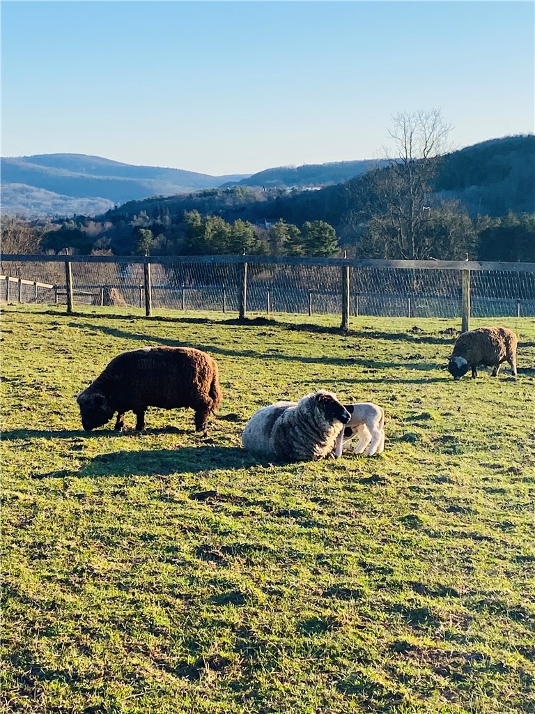 184 Lower Reservoir Road Oneonta, NY 13820 - Photo 38 of 50