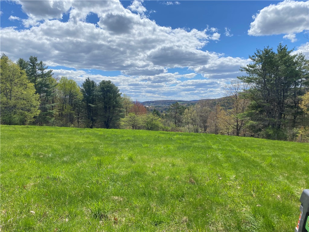 184 Lower Reservoir Road Oneonta, NY 13820 - Photo 39 of 50