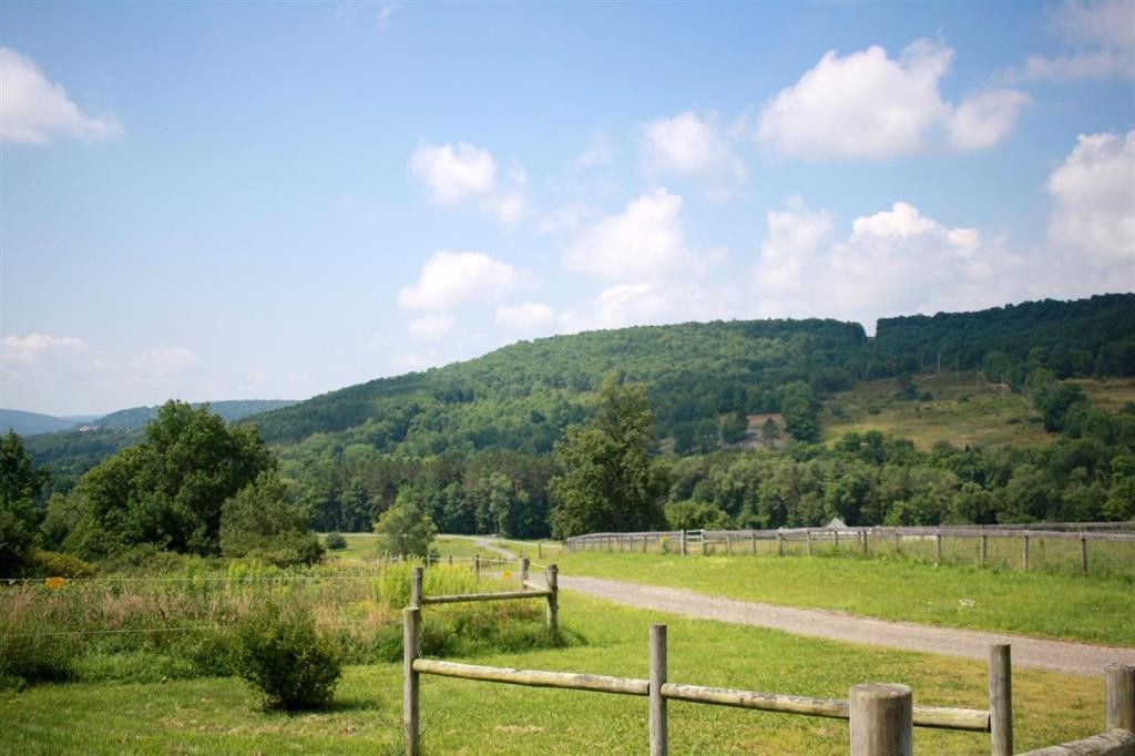 184 Lower Reservoir Road Oneonta, NY 13820 - Photo 4 of 50