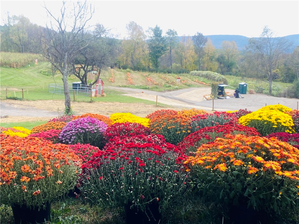 184 Lower Reservoir Road Oneonta, NY 13820 - Photo 41 of 50