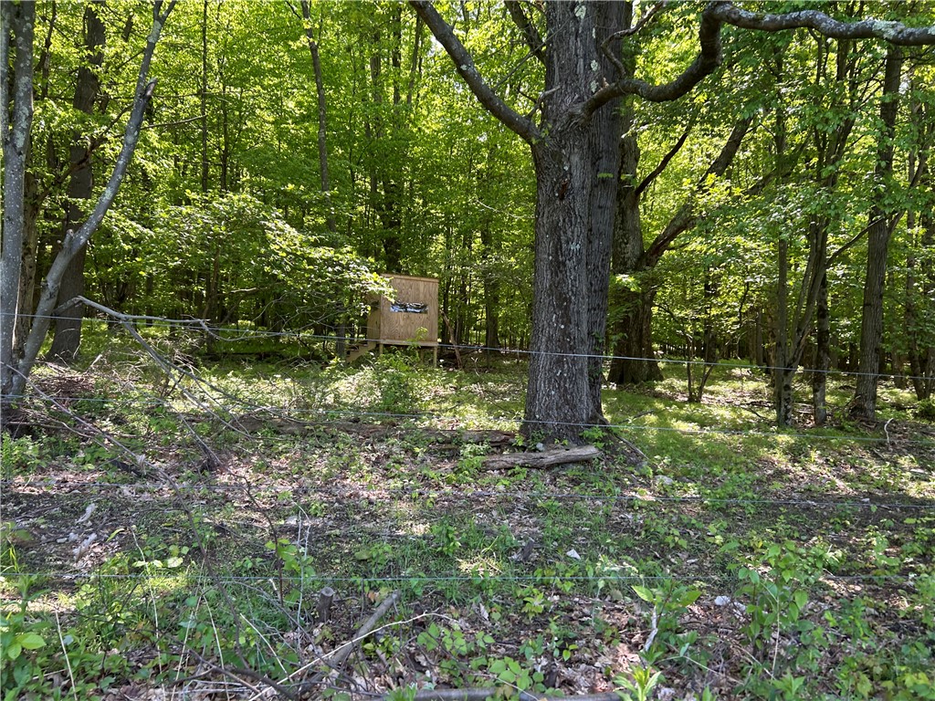 184 Lower Reservoir Road Oneonta, NY 13820 - Photo 45 of 50