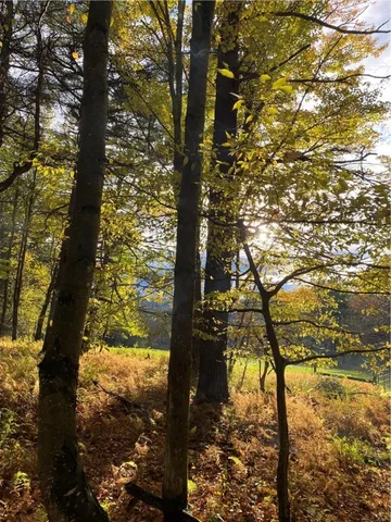 $799,000 | 184 Lower Reservoir Road, Oneonta, NY 13820