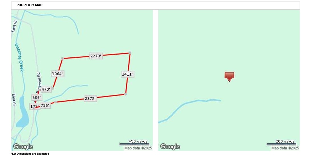 184 Lower Reservoir Road Oneonta, NY 13820 - Photo 49 of 50 87.74 acres parcel