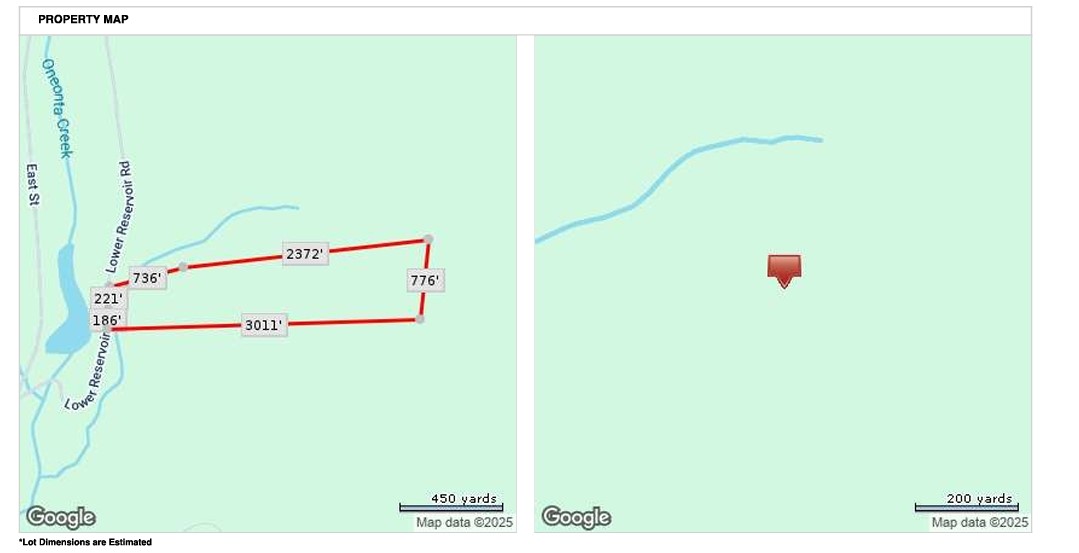 184 Lower Reservoir Road Oneonta, NY 13820 - Photo 50 of 50 44.76 acres parcel