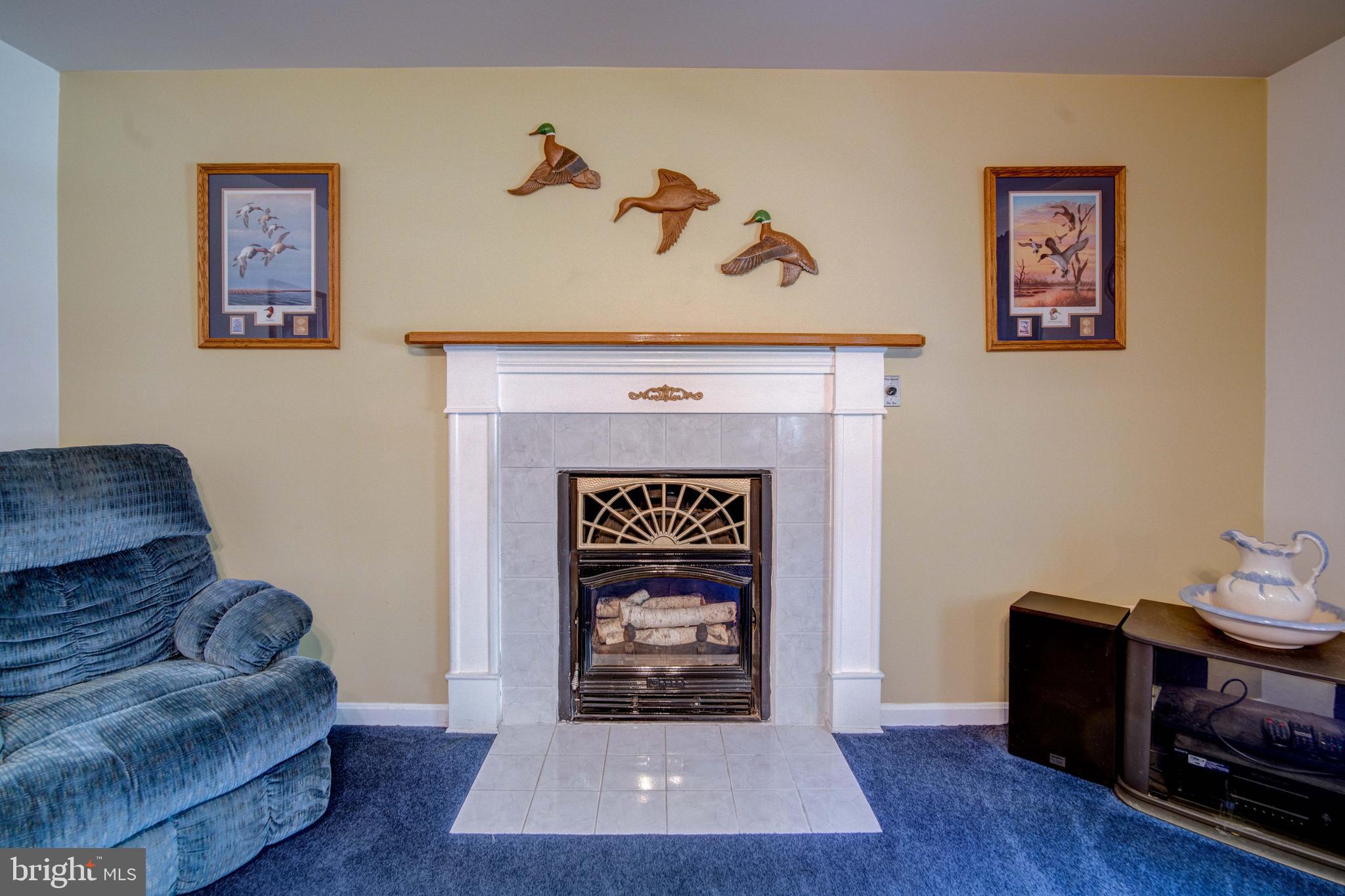 6380 Shady Side Road Shady Side, MD 20764 - Photo 43 of 95 Wood burning fireplace