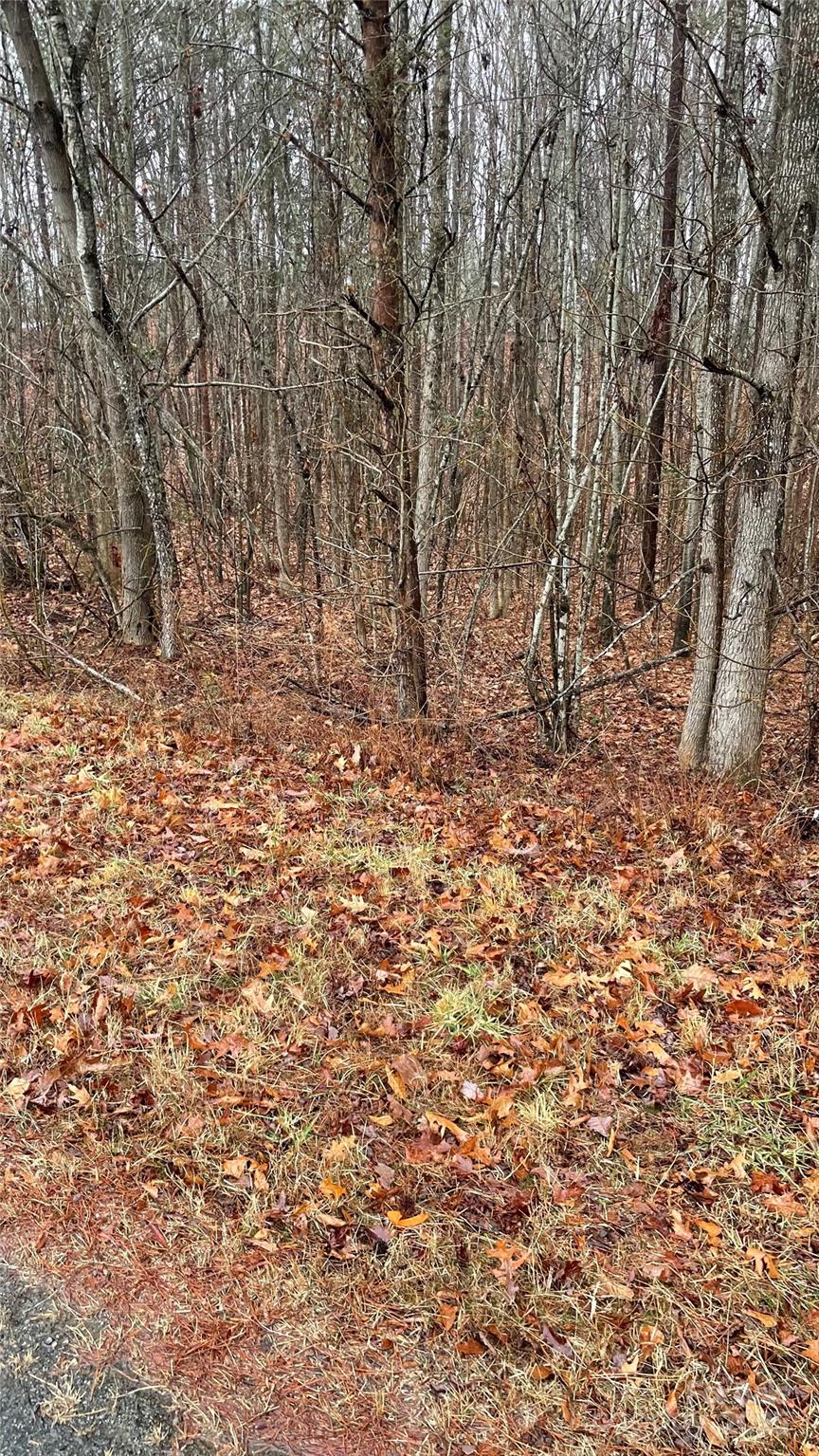 352 Fisher Farm Road Lexington, NC 27292 - Photo 3 of 4