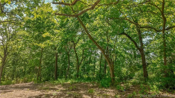 $49,000 | 17880 Old W Road, Versailles, MO 65084