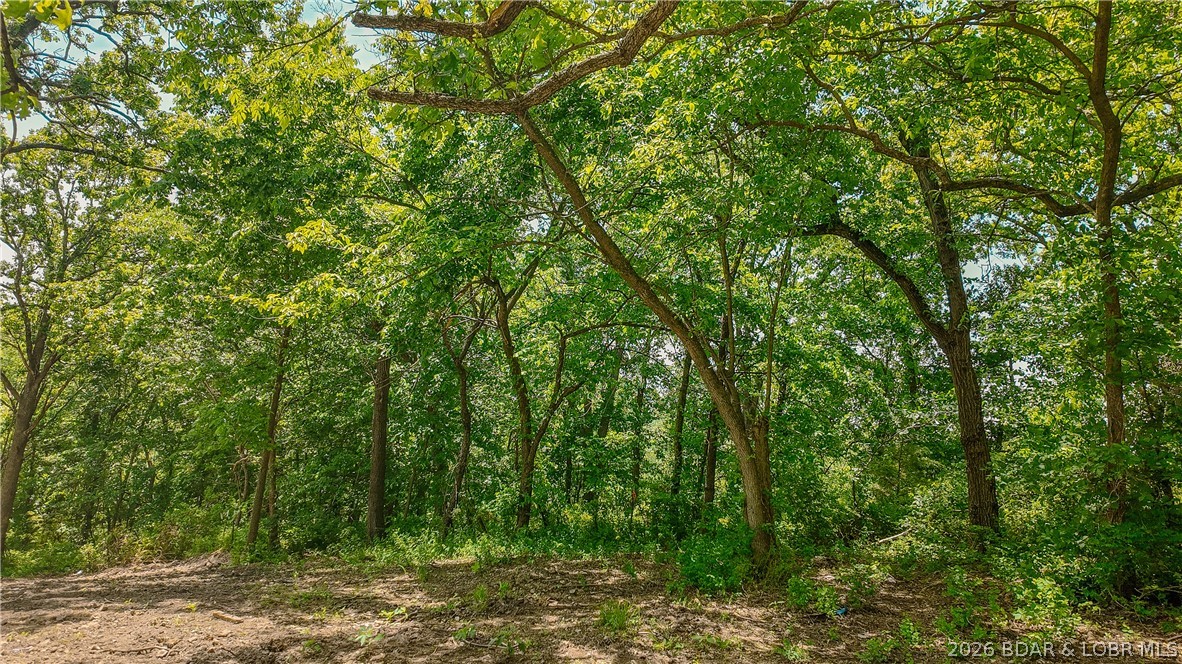 17880 Old W Road Versailles, MO 65084 - Photo 19 of 22