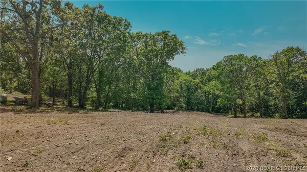 $49,000 | 17880 Old W Road, Versailles, MO 65084