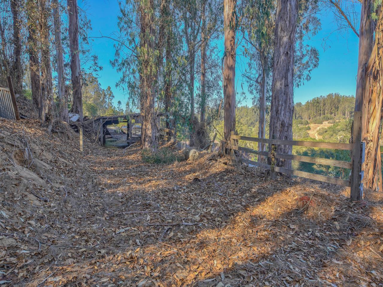 778 Paradise Road Salinas, CA 93907 - Photo 30 of 33 Gallery Image 30