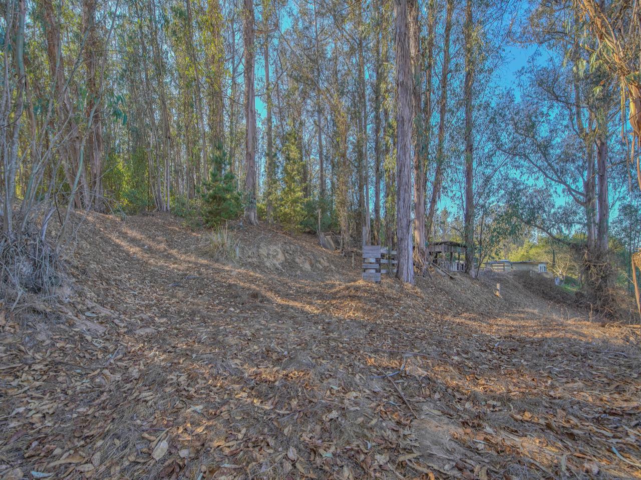 778 Paradise Road Salinas, CA 93907 - Photo 31 of 33 Gallery Image 31