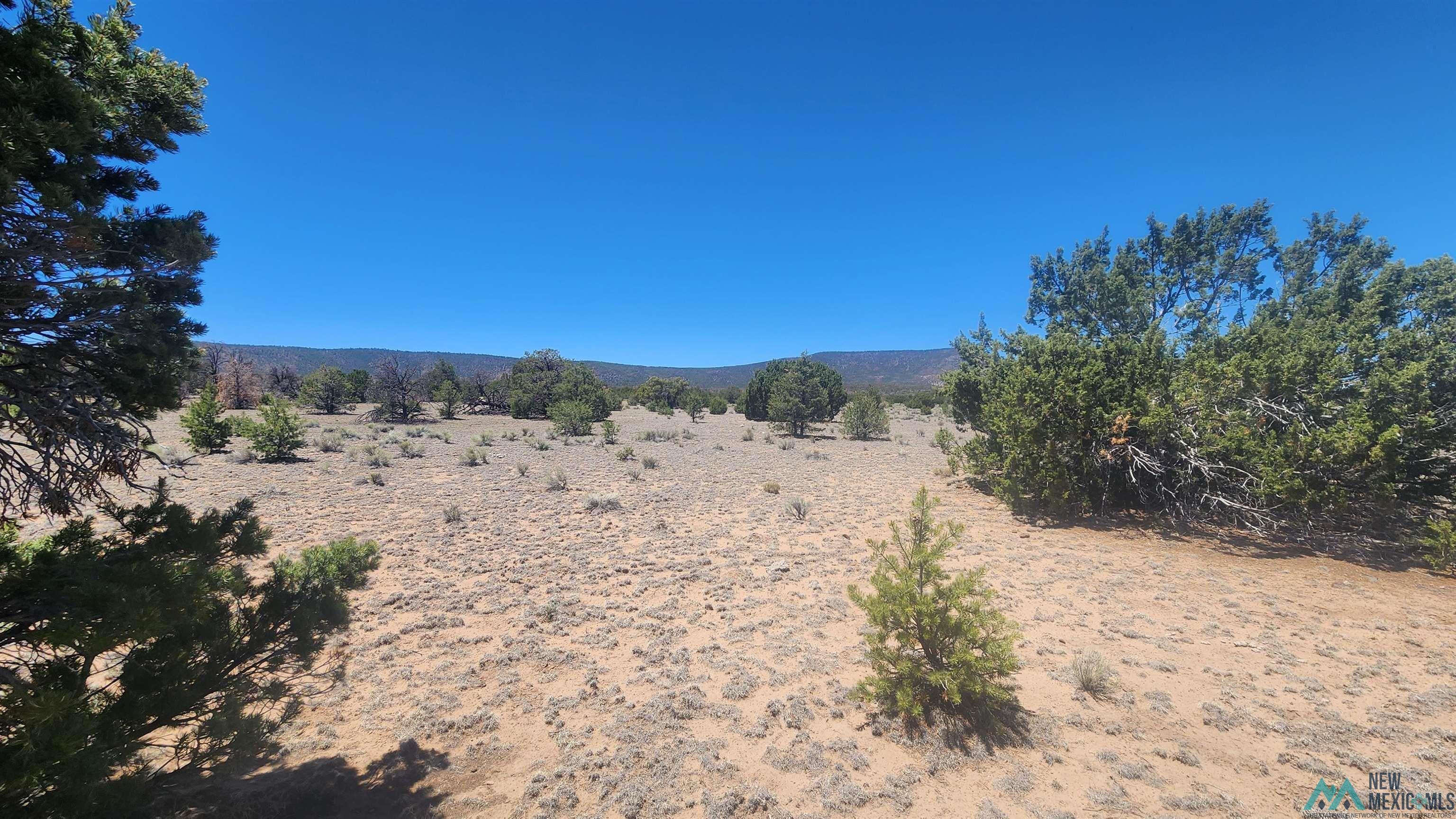 Tbd Mangas Road Quemado, NM 87829 - Photo 14 of 15