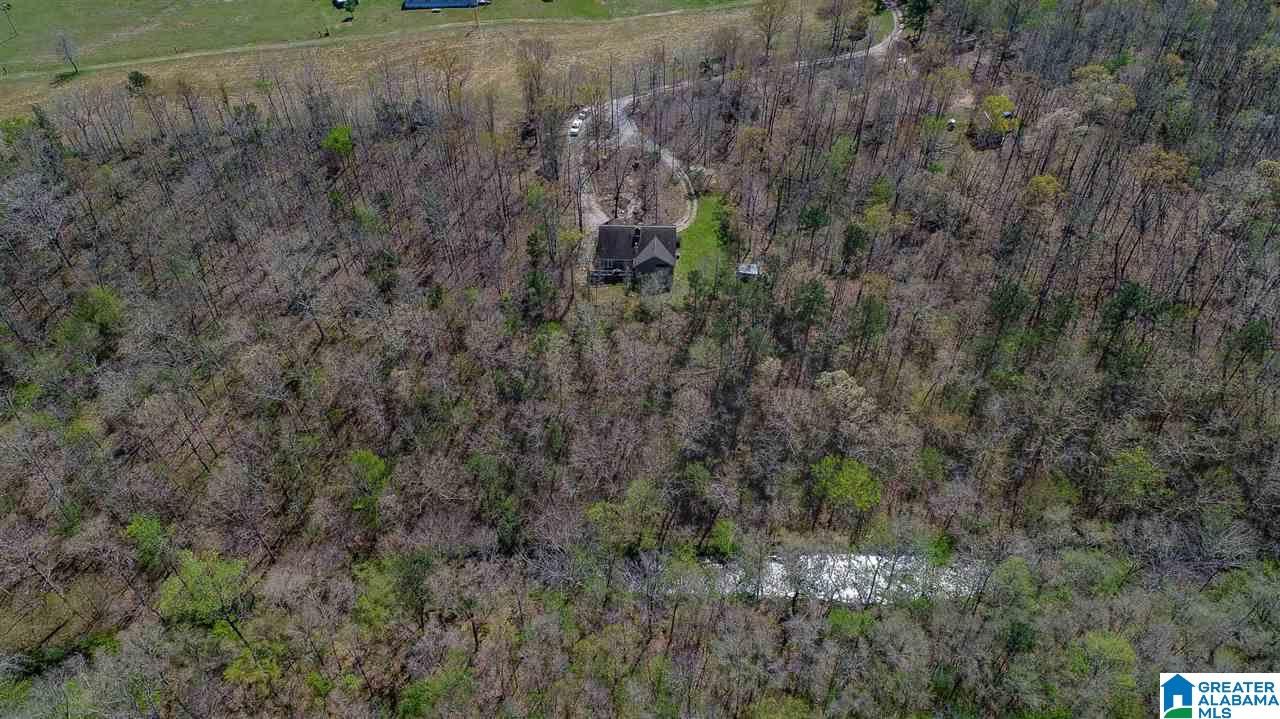 2800 County Road 107 Randolph, AL 36792 - Photo 22 of 23