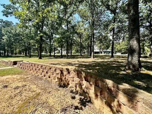 a view of a park with large trees