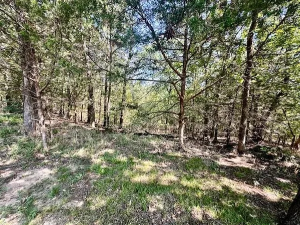 a view of covered with green space