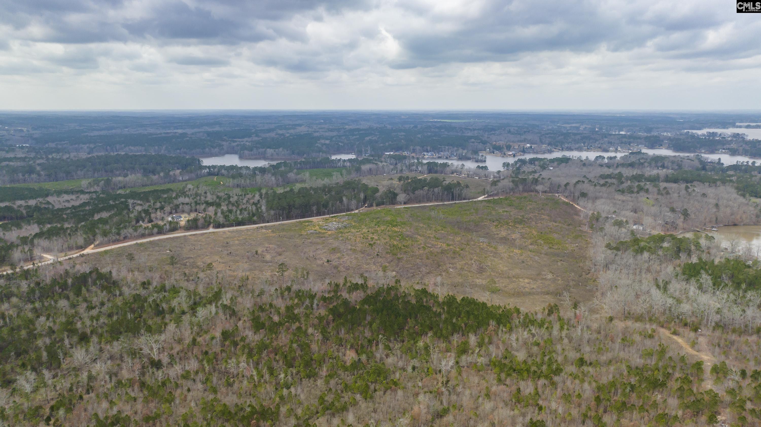 0 Rock N Creek Road Leesville, SC 29070 - Photo 8 of 12