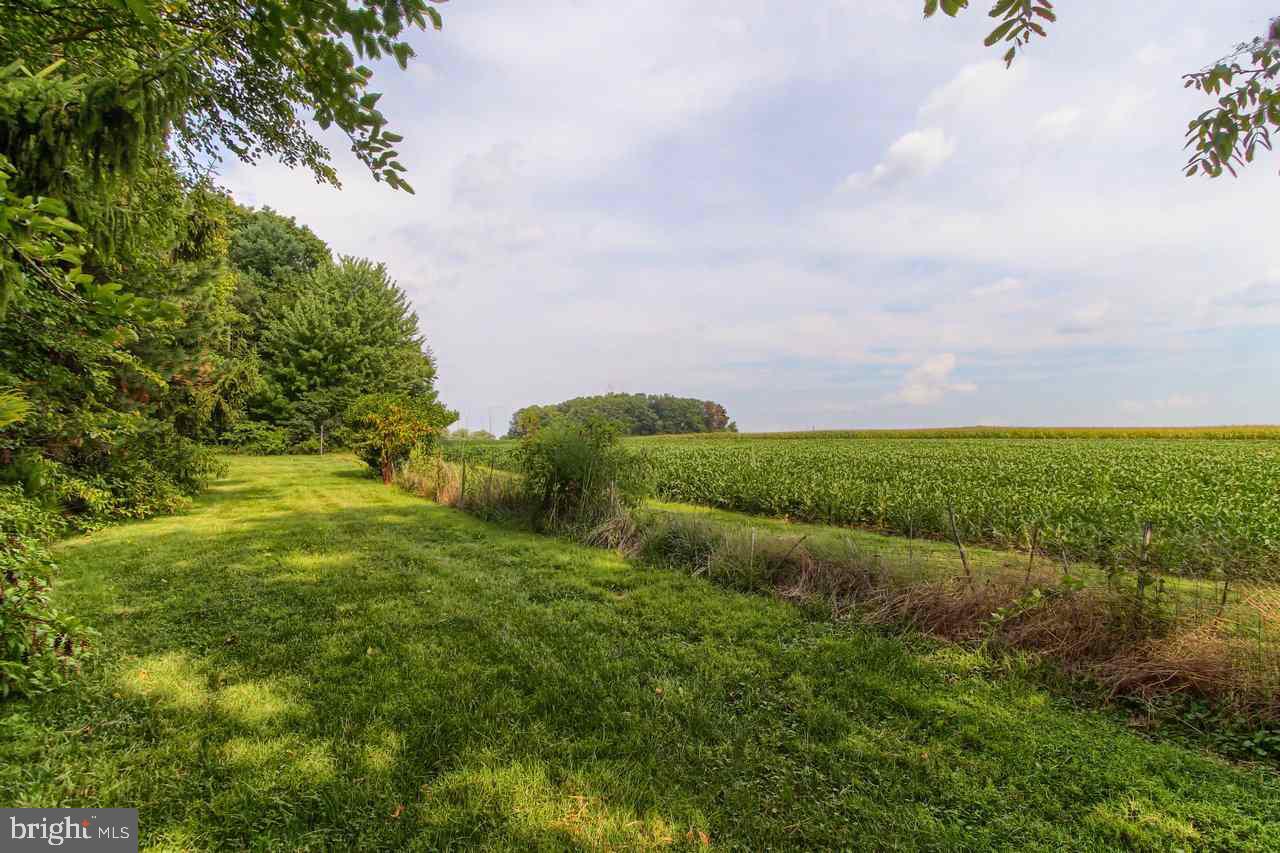 4262 Walters Hatchery Road York, PA 17408 - Photo 22 of 25