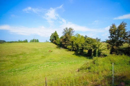 1526 McKenry Road Walland, TN 37886 - Photo 21 of 25 Additional Photo