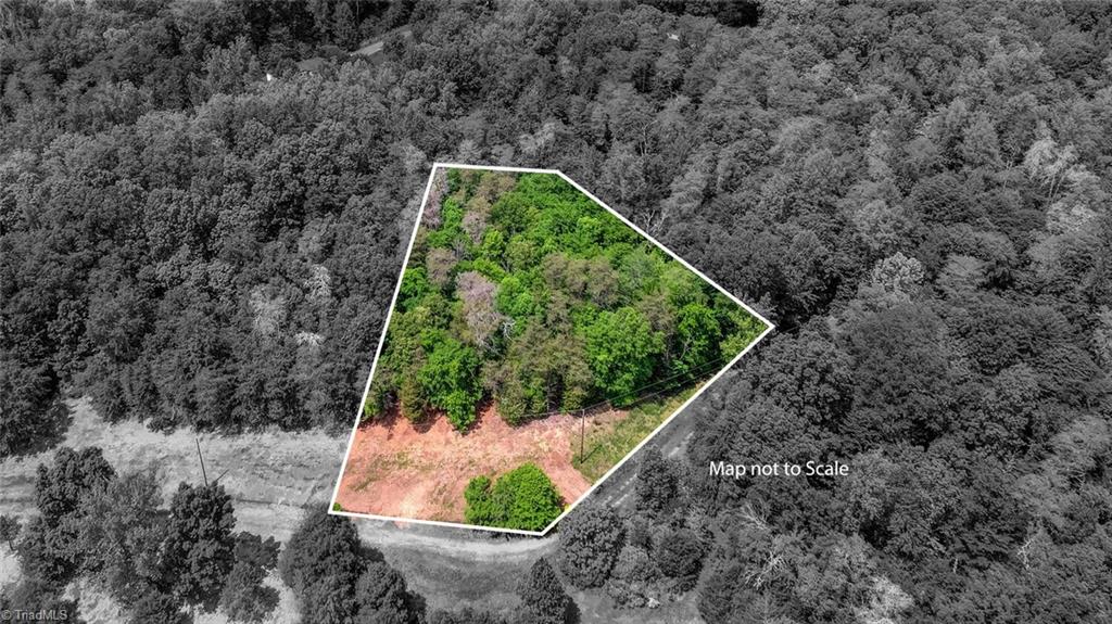 0 Strawhouse Road Reidsville, NC 27320 - Photo 3 of 14