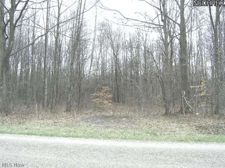 Windsor-Mechanicsville Road Rome, OH 44085 - Photo 5 of 11