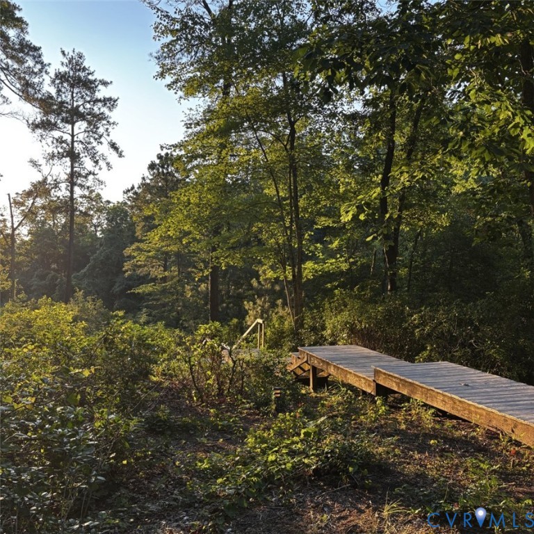 450 Newtown Road White Stone, VA 22578 - Photo 11 of 27 a backyard of a house with lots of green space