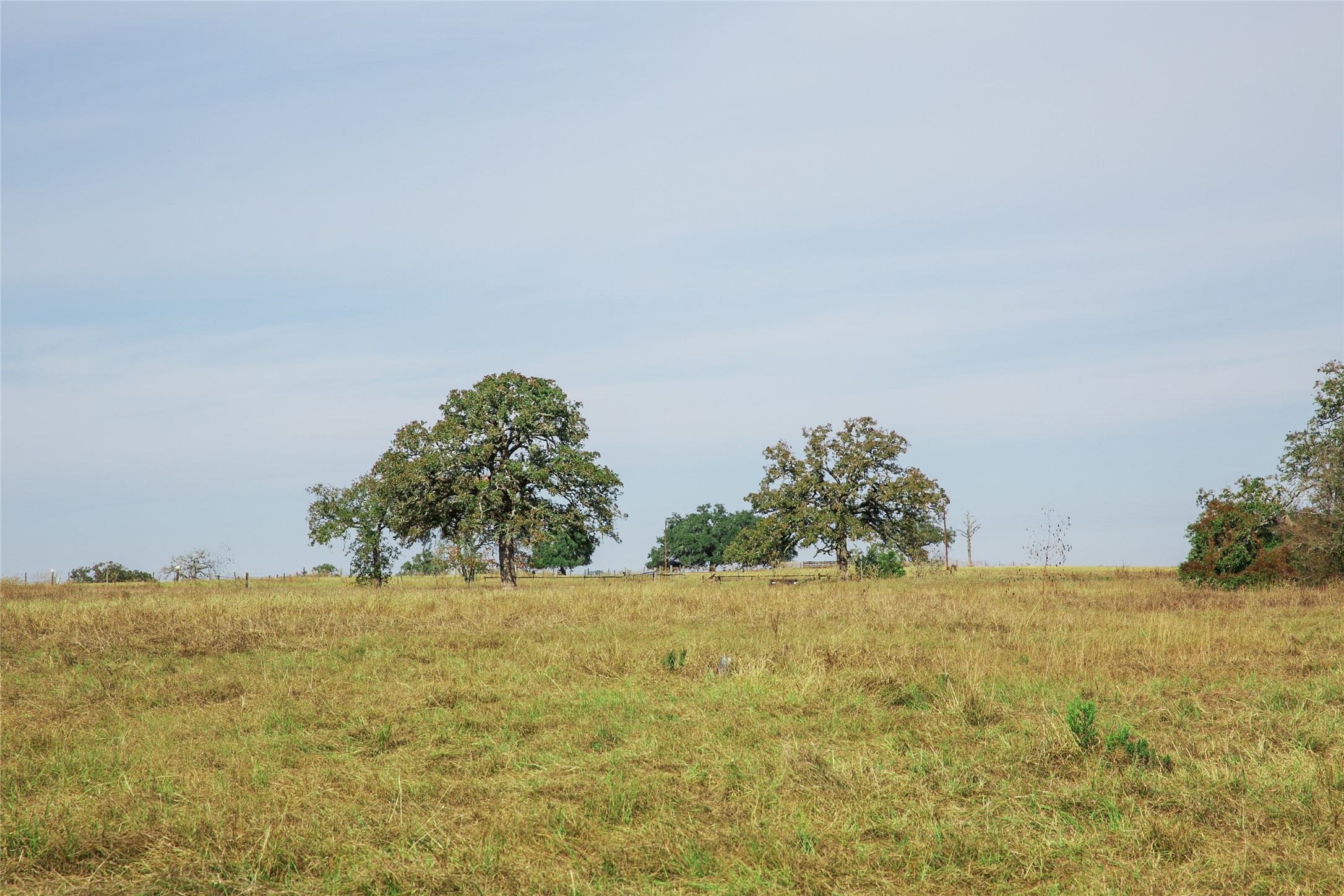 4254 FM 180 Road Ledbetter, TX 78946 - Photo 12 of 17
